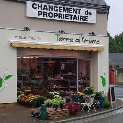 Terre D Arums
