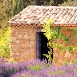 Terre De Provence