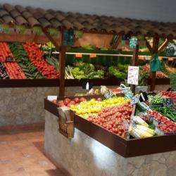Terre De Provence