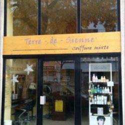 Terre De Sienne
