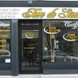 Terre De Sienne