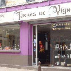Terre Des Vignes