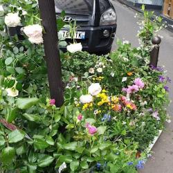 Terre Sauvage