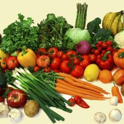 Terre Y Fruits
