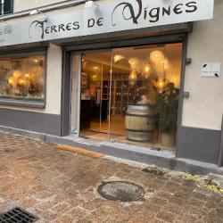 Terres De Vignes - Du Vert Au Vin
