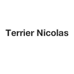 Terrier Nicolas