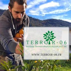 Terroir-06