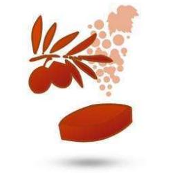 Terroir Et Gastronomie