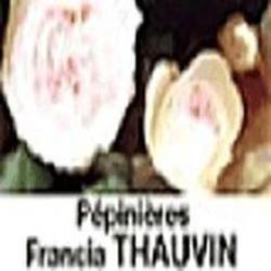 Thauvin Francia