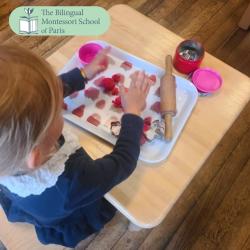 The Bilingual Montessori School Of Paris - George V