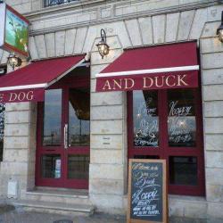 The Dog And Duck