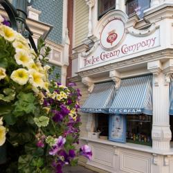 The Ice Cream Company