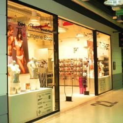 The Lingerie Shop