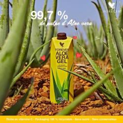 The Power Of Aloe