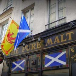 The Pure Malt
