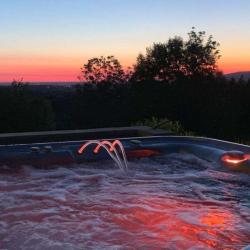 The Spas