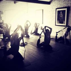The Yogi In Me