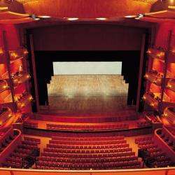 Theatre De La Cite