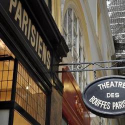 Théâtre Des Bouffes-parisiens