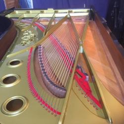 Theodore Sintot Pianos
