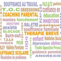 Thérapie Brève Et Coaching