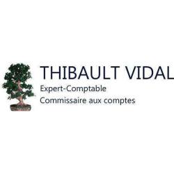 Thibault Vidal