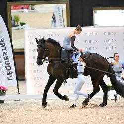 Thiers Voltige Equestre