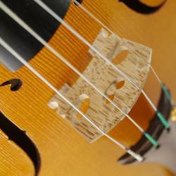 Thomas Billoux Luthier