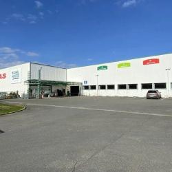 Thomas Rural Master - St Avit St Nazaire