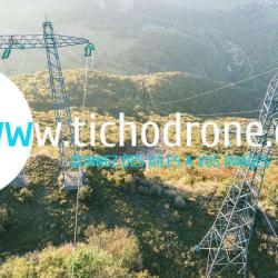 Tichodrone