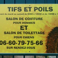 Tifs Et Poils