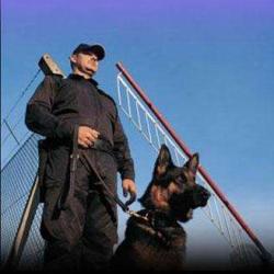 Timber Securite Surveillance Gardiennage