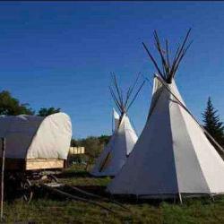 Tipis Des Oliviers