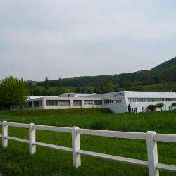 Tissage Denantes (sa)