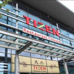 Tizen (sarl)