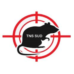 Tns Sud