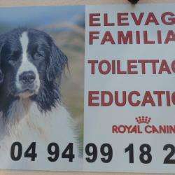 Toilettage, Elevage  Le Reve D'ady