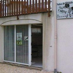 Toilettage Chez Carine