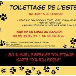 Toilettage De L'esterel