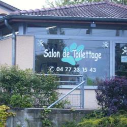 Toilettage De Riorges