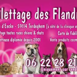 Toilettage Des Flandres