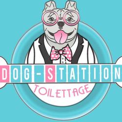 Toilettage Dog-station