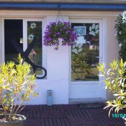 Toilettage Hauts De Commelle