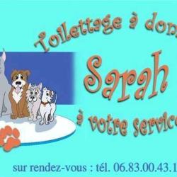 Toilettage Mobile Sarah Sélestat