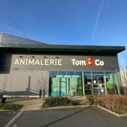 Tom & Co Leers