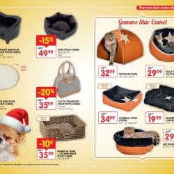 Tom&co Bergues Quaedypre