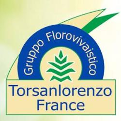 Torsanlorenzo France