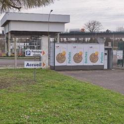 Totalenergies Proxi Nord Est (ex Dms)