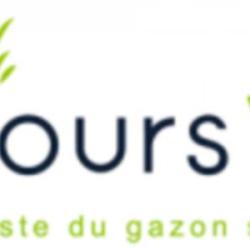 Toujours Vert