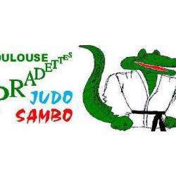 Toulouse Pradettes Judo Sambo